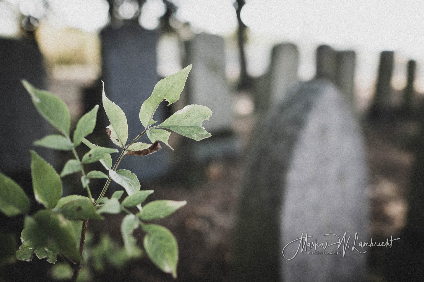 Flieden, Jüdischer Friedhof